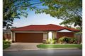 Property photo of 5 Poplar Place Taigum QLD 4018