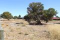 Property photo of 10 Melaleuca Place Donnybrook WA 6239