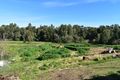 Property photo of 9 Sutton Street Montefiores NSW 2820
