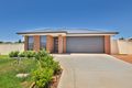Property photo of 7 Jennifer Court Robinvale VIC 3549