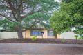 Property photo of 16 Centenary Avenue Nuriootpa SA 5355