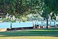 Property photo of 33 Virginia Avenue Hawthorne QLD 4171