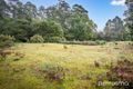 Property photo of 370 Cloudy Bay Road South Bruny TAS 7150