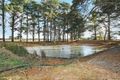 Property photo of 420 Gribbles Road Jancourt East VIC 3266