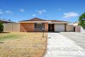 Property photo of 7 Dryandra Drive Mirrabooka WA 6061