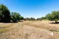 Property photo of 65 Main Road Chewton VIC 3451