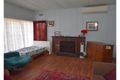 Property photo of 48 Apsley Crescent Mumbil NSW 2820