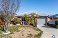 Property photo of 11 Bunima Crescent Ngunnawal ACT 2913
