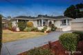 Property photo of 25 Boronia Drive Glen Waverley VIC 3150