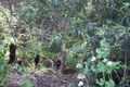 Property photo of 11 Old Don Road Badger Creek VIC 3777