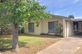 Property photo of 3 Pine Avenue North Shore VIC 3214