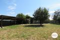 Property photo of 521 Marshall Street Lavington NSW 2641
