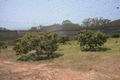 Property photo of 207 Hoffmans Road Coowonga QLD 4702