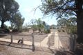 Property photo of 468 Timor Road Bowenvale VIC 3465