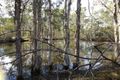 Property photo of 2297 Childers Road Elliott QLD 4670