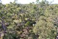 Property photo of 2297 Childers Road Elliott QLD 4670
