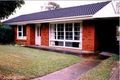 Property photo of 20 Bimbadeen Crescent Frenchs Forest NSW 2086