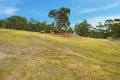 Property photo of 859 Collins Cap Road Molesworth TAS 7140