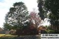 Property photo of 1 Hokitika Street Broadbeach Waters QLD 4218