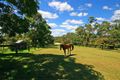 Property photo of 123 Pitt Town Road Kenthurst NSW 2156