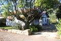 Property photo of 16 Claire Street Lower Mitcham SA 5062