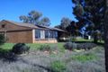Property photo of 286 Tabain Road Merungle Hill NSW 2705