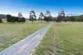 Property photo of 265 Coal Hill Road Latrobe TAS 7307