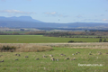 Property photo of 14638 Midland Highway Powranna TAS 7300