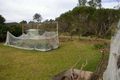 Property photo of 35 Melaleuca Crescent Catalina NSW 2536