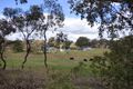 Property photo of 257 Telegraph Road Young NSW 2594