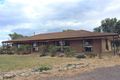 Property photo of 209 Boxwood Road Berrigan NSW 2712