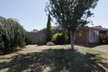 Property photo of 8 Tamarisk Road Narre Warren VIC 3805