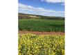 Property photo of 200 Slater Road Walyormouring WA 6460