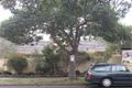 Property photo of 5/67-69 Abbott Street Sandringham VIC 3191