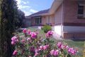 Property photo of 40 Douglas Street Magill SA 5072