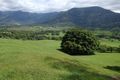 Property photo of 141 Tyalgum Creek Road Tyalgum Creek NSW 2484
