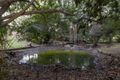 Property photo of 4 Scribble Gum Close Mooloolah Valley QLD 4553