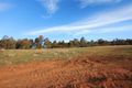 Property photo of 12 Brownlow Drive Bourkelands NSW 2650
