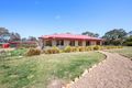Property photo of 385 Foxs Elbow Road Warri NSW 2622