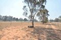 Property photo of 21 Booroo Lane Parkes NSW 2870