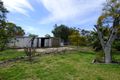 Property photo of 60-62 Moore Street Dirranbandi QLD 4486