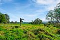 Property photo of 611 Monaro Highway Noorinbee VIC 3890