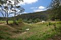 Property photo of 1484 Currumbin Creek Road Currumbin Valley QLD 4223