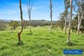 Property photo of 104 Hawks Head Road Brogo NSW 2550