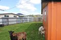Property photo of 10 Comstock Court Zeehan TAS 7469