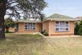 Property photo of 44 Ross Road Hectorville SA 5073