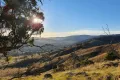 Property photo of 210 Burns Road Ullamalla NSW 2850