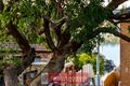 Property photo of 23 Moons Avenue Lugarno NSW 2210