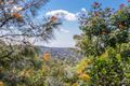 Property photo of 50 Tongarra Drive Ocean Shores NSW 2483