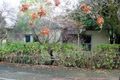 Property photo of 19 Dunrobin Street Black Forest SA 5035